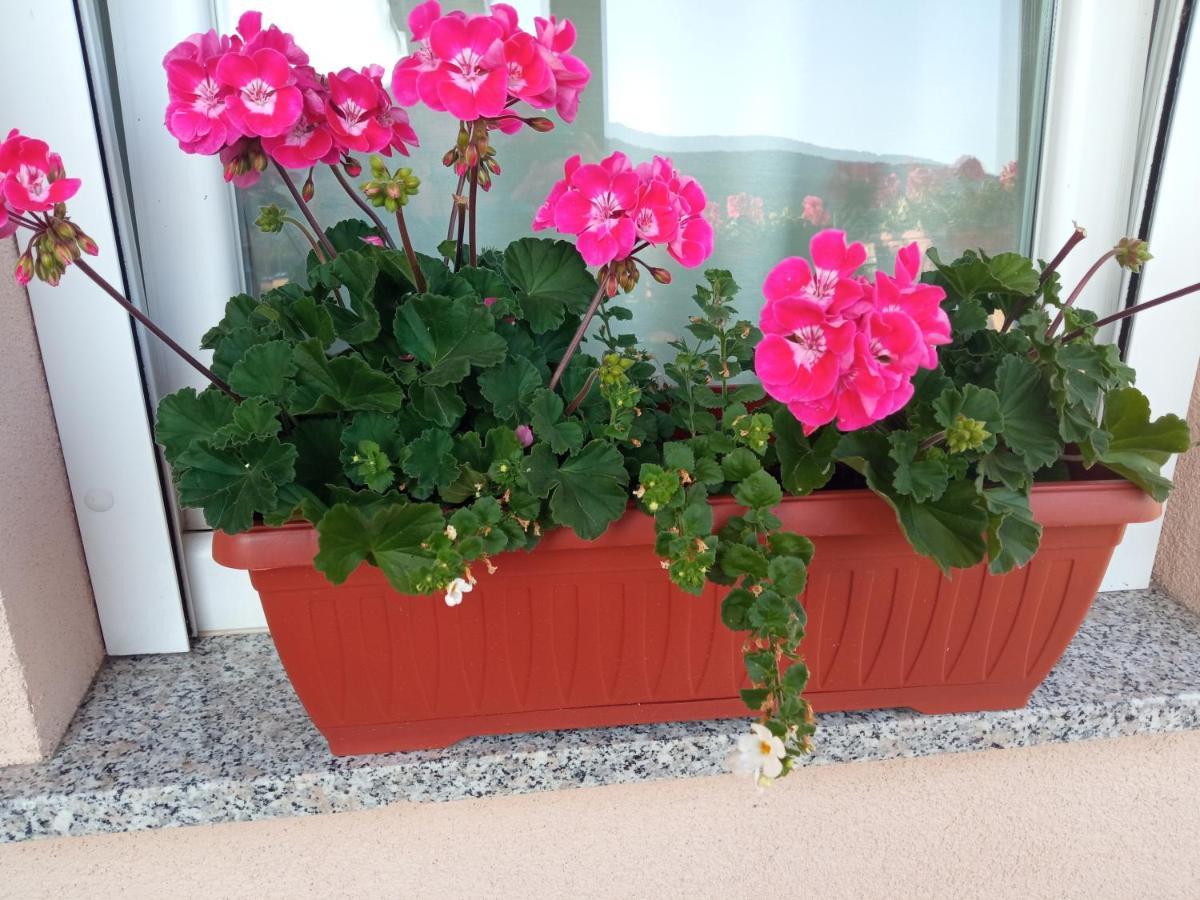 Ferienwohnung Apartman Vidovic Korenica Exterior foto
